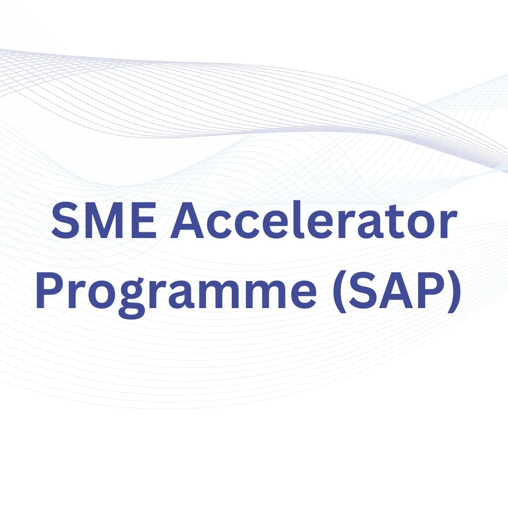 SME Accelerator Programme (SAP)